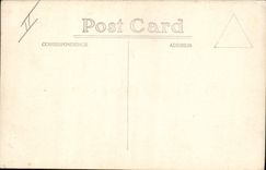 Real photo Alligator Crocodile