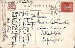 VINTAGE POSTCARD Wolf Wolves