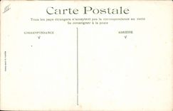 VINTAGE POSTCARD Wolf Chicks