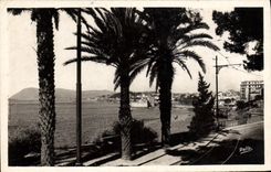 MODERN CARD Littoral Toulon Frederic Mistral In Mourillon