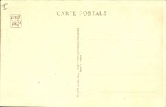 CPA Paris Exposition coloniale internationale 1931 Jardin zoologique Le plateau des lions