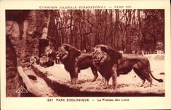 CPA Paris Exposition coloniale internationale 1931 Jardin zoologique Le plateau des lions