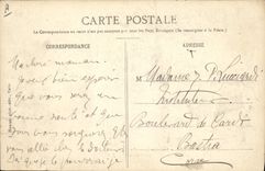 VINTAGE POSTCARD Paris Botanical garden Zebras of the Southern Africa