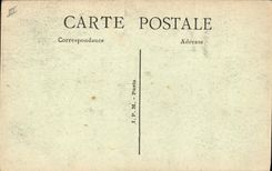 VINTAGE POSTCARD Paris Botanical garden black Swans