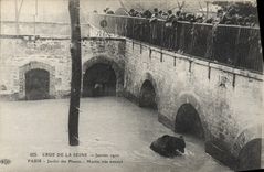 CPA Paris Crue de la Seine Janvier 1910 Jardin des plantes Martin tres ennuye