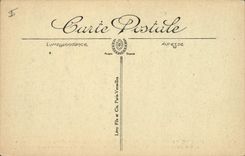 VINTAGE POSTCARD Militaria the Ruins De Pompelie