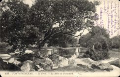 VINTAGE POSTCARD Fontainebleau the Drill the Pond De Franchard