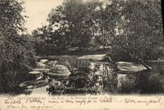 VINTAGE POSTCARD Fontainebleau the Drill the pond with the pigeons