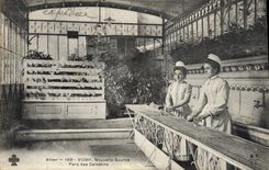 VINTAGE POSTCARD Hydrotherapy Vichy News Park source of Celestins