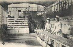 CPA Thermalisme Vichy Nouvelle source Parc des Celestins