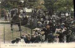 VINTAGE POSTCARD Zoo Marseilles zoological gardens Dromedary