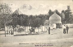 VINTAGE POSTCARD Zoo Mulhausen I Eis Left B Zoolog garden Mulhouse Lion