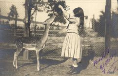 VINTAGE POSTCARD Zoo Child