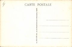 VINTAGE POSTCARD Zoo Paris Museum of Natural history Nandou America of the South