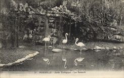 VINTAGE POSTCARD Zoo Marseilles Zoological garden Flemish