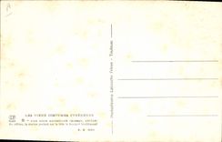 VINTAGE POSTCARD Pyrenees Folklore a wedding Massatoise Massat