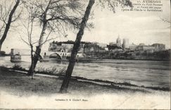 VINTAGE POSTCARD Avignon Overall picture of the Benezet bridge and palate of the popes taken of the island of Barthelaise