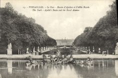 CPA Palais de Versailles Le Parc Bassin d'Apollon et L'Allee Royale
