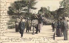 CPA Paris Jardin d'acclimation Elephant