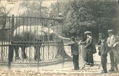 CPA Paris Jardin des Plantes Le gouter du jeune elephant