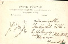 CPA Musee de Tours L'elephant Fritz