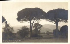 VINTAGE POSTCARD Mountains of Tanneron seen of the Golf Club