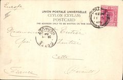 CPA Elephant Ceylon Elephants 