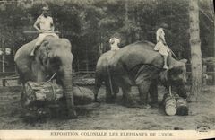 CPA Elephant Exposition coloniale internationale de l'Inde 