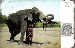 CPA Elephant and trainer Inde