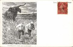 CPA Poursuivis par un Elephant 