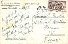 CPA Un jeune Elephant du Tchad Afrique Equatoriale Francaise 