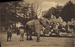 CPA Elephant Anvers Jardon zoologique Promenade de l'elephant 