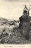CPA Folklore Amelie les Bains Berger du Canigou gardant son troupeau Moutons