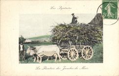 CPA Folklore Pyrenees La rentree des jambes de mais Attelage 