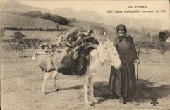 VINTAGE POSTCARD Folklore the Pyrenees Two inseparable ghost from wood ass Mule TOP