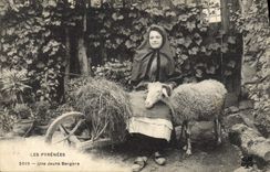 CPA Folklore Pyrenees Une jeune bergere Moutons 