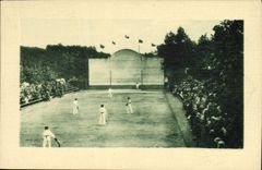 VINTAGE POSTCARD Ball Basque Rebated joint Pediment of Brown part of ball