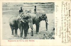 CPA Elephant Elephants at Ferry near Kandy 