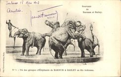 CPA Elephant Souvenir de Barnum et Bailey 