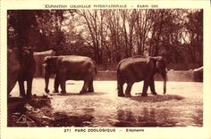CPA Elephant Paris Exposition coloniale internationale Paris 1931 Parc zoologique 
