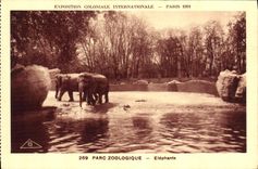 CPA Elephant Paris Exposition coloniale internationale Paris 1931 Elephants 