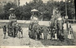 CPA Elephant Elephants Inde