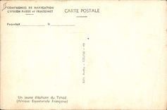 CPA Elephant Tchad Afrique Equatoriale Francaise