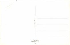 VINTAGE POSTCARD Fantaisie Illustrator Rob Vel Fishes Fishing Poisson Tuba