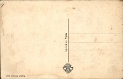 CPA Fantaisie Illustrateur Rob Vel Ours Luge pingouin