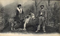 CPA Folklore Pyrenees Promenade sentimentale Ane Mule 