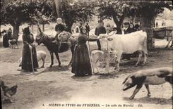 CPA Folklore Pyrenees Un coin du marche Cochon Porc Boeuf ane Mule 