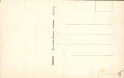 CPA Folklore Pyrenees Un coin du marche Cochon Porc Boeuf ane Mule 