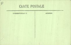 VINTAGE POSTCARD Pyrenees Folklore In the fields Oxen