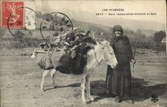 VINTAGE POSTCARD Folklore the Pyrenees Two inseparable ghost from wood Ass Mule